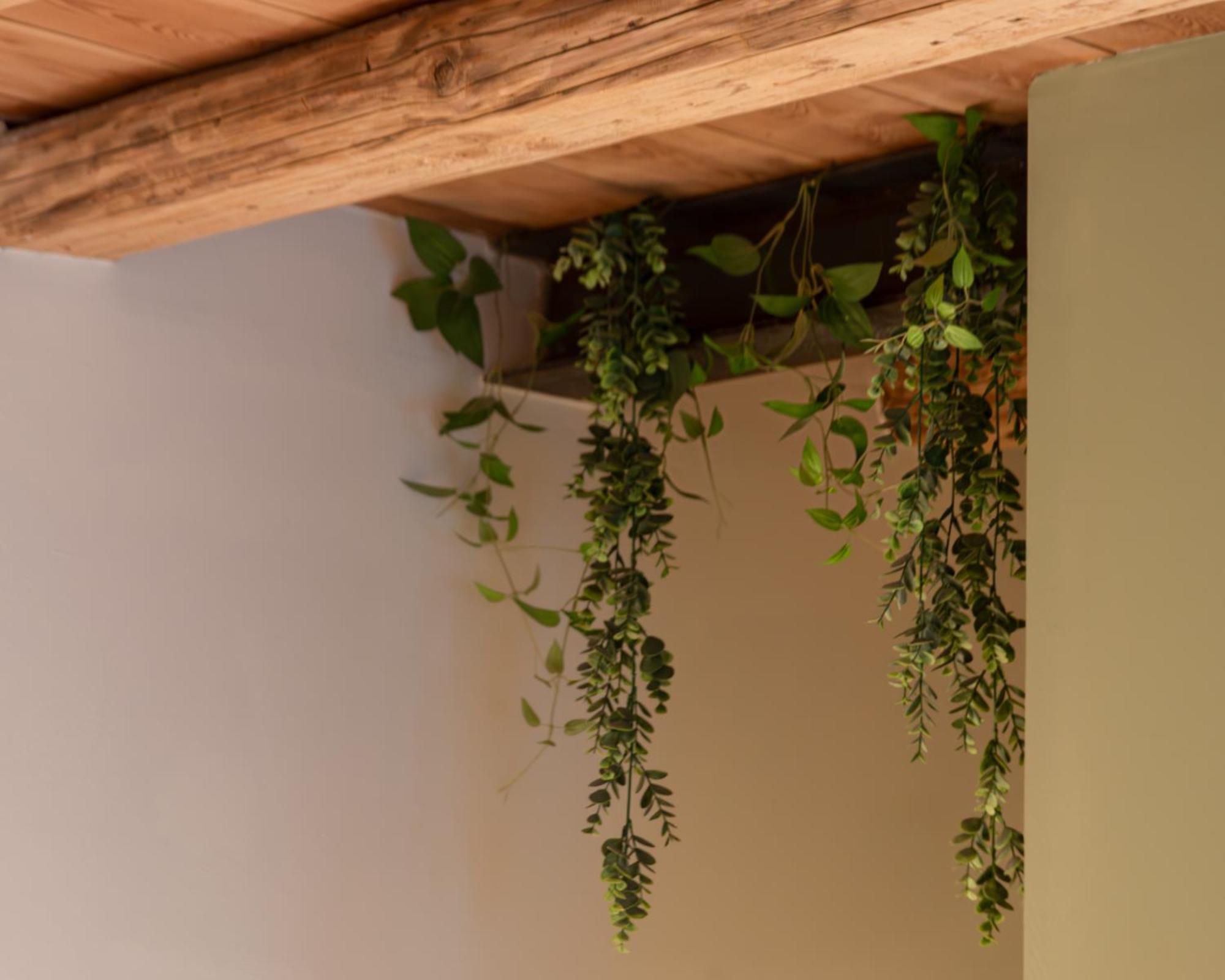Bacaria Bed&Breakfast Bassano del Grappa Luaran gambar